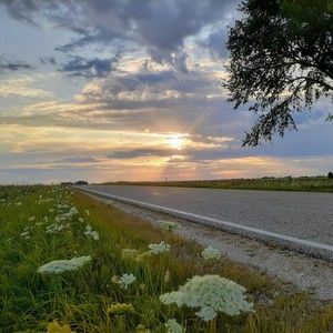 Meet your Posher, Cassidy